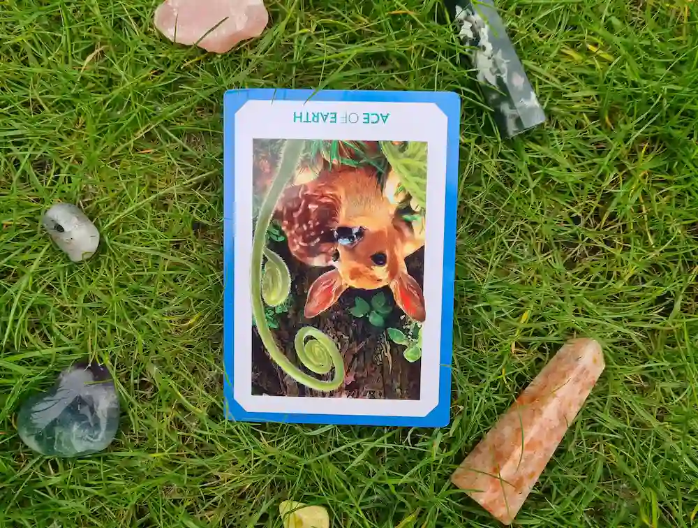 Reverse Ace of Pentacles