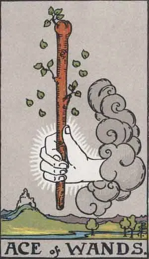 Ace of Wands from the Rider-Waite-Smith deck