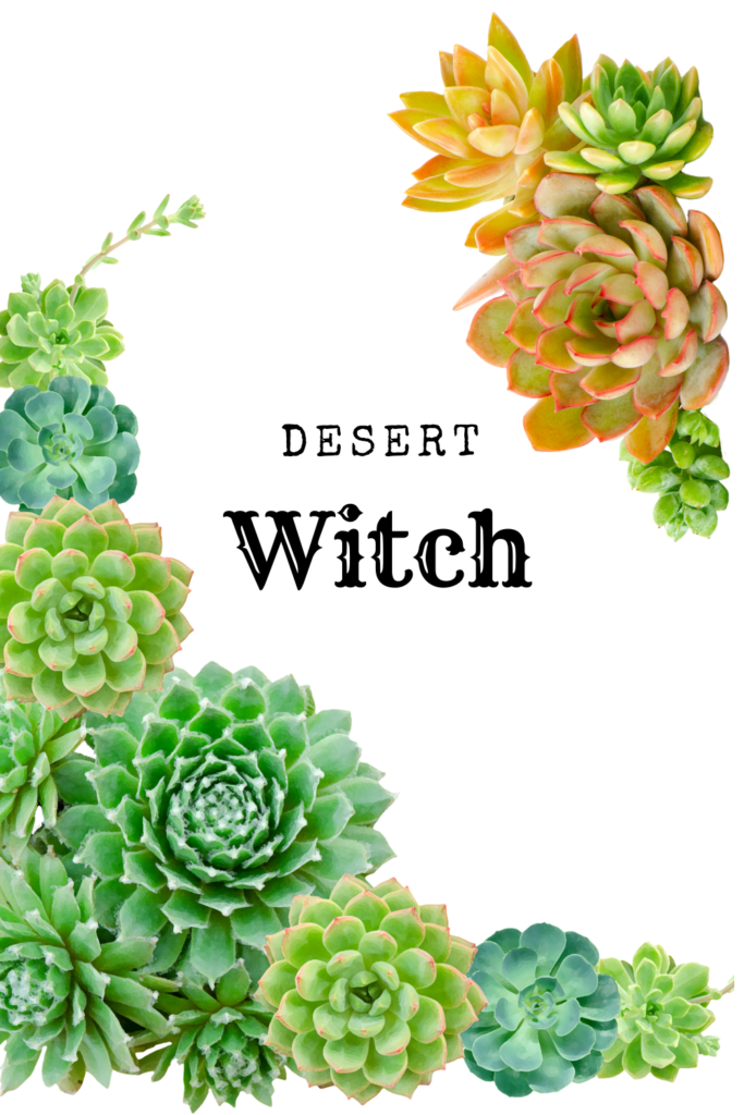 desert witch green witch wallpaper