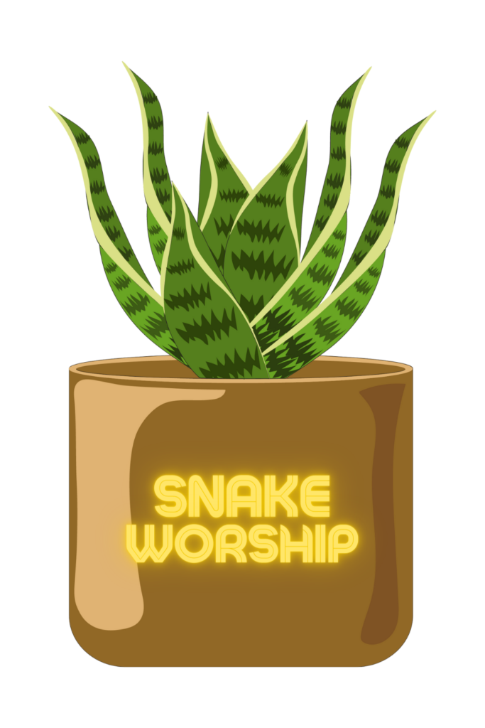 snake worship snake plant green witch wallpaper