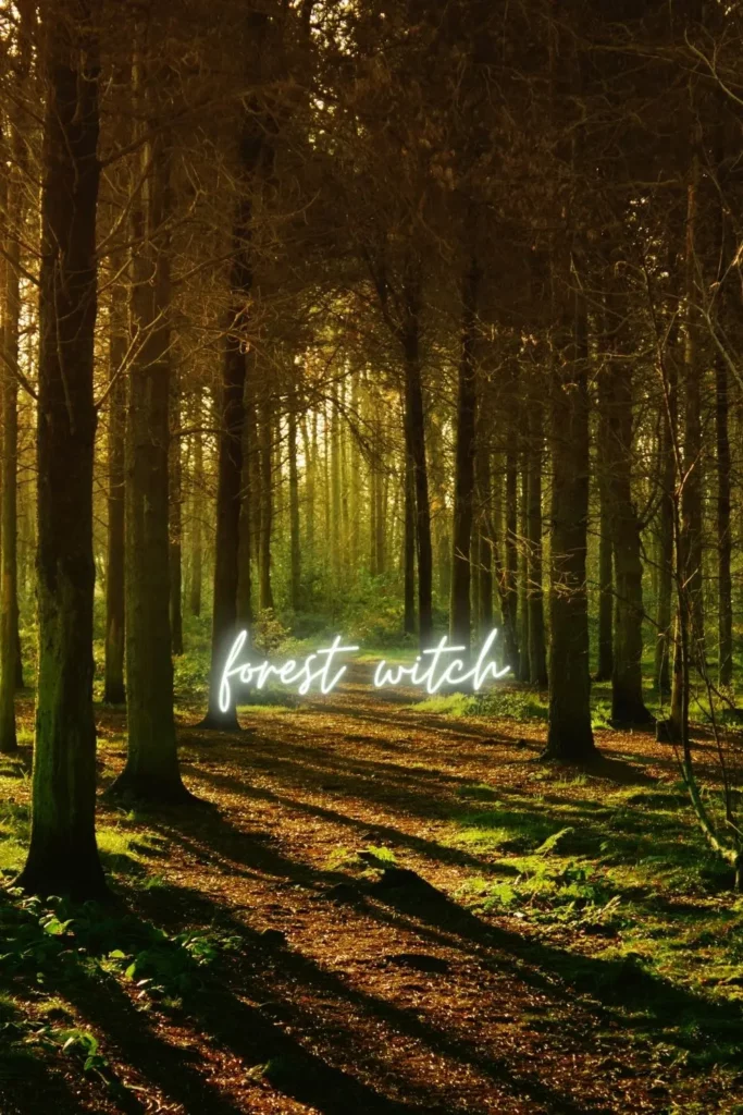 forest witch background wallpaper