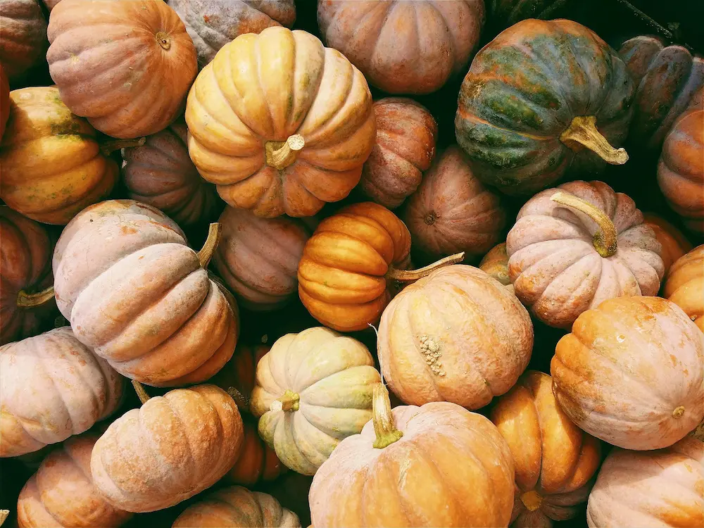 pumpkins and squash for samhain