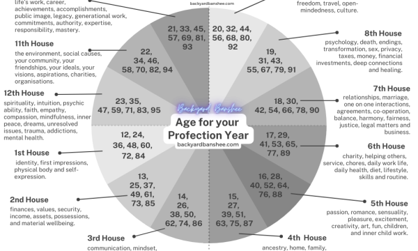 Profection Year Wheel Chart for age and profection year house themes