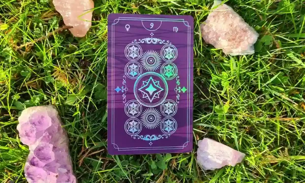 Nine of Pentacles tarot card