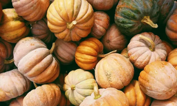 pumpkins and squash for samhain